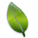 environmentally friendly logo